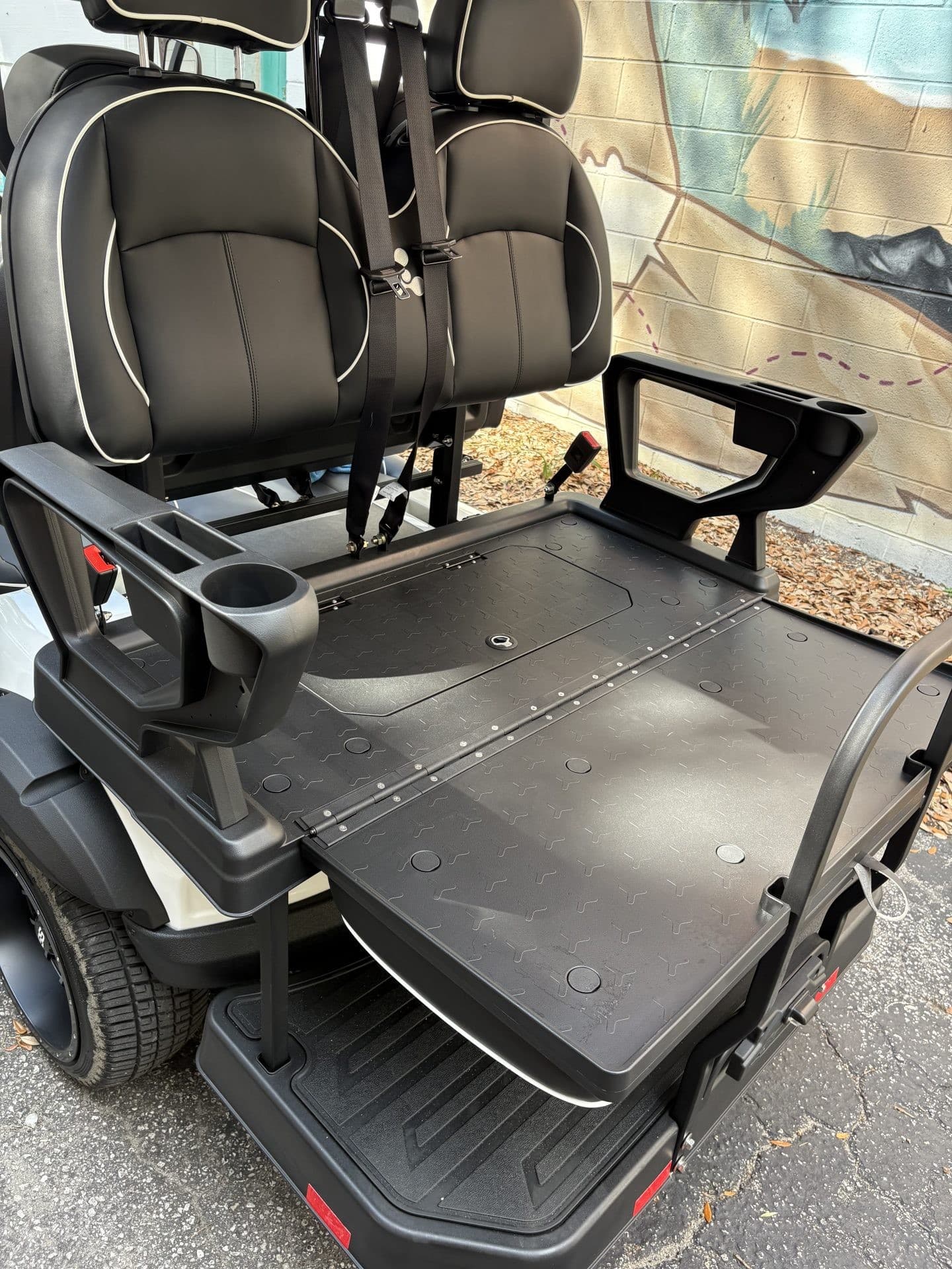ActiveV Pulse 4 golf cart, view 5 | Ergon Golf Carts