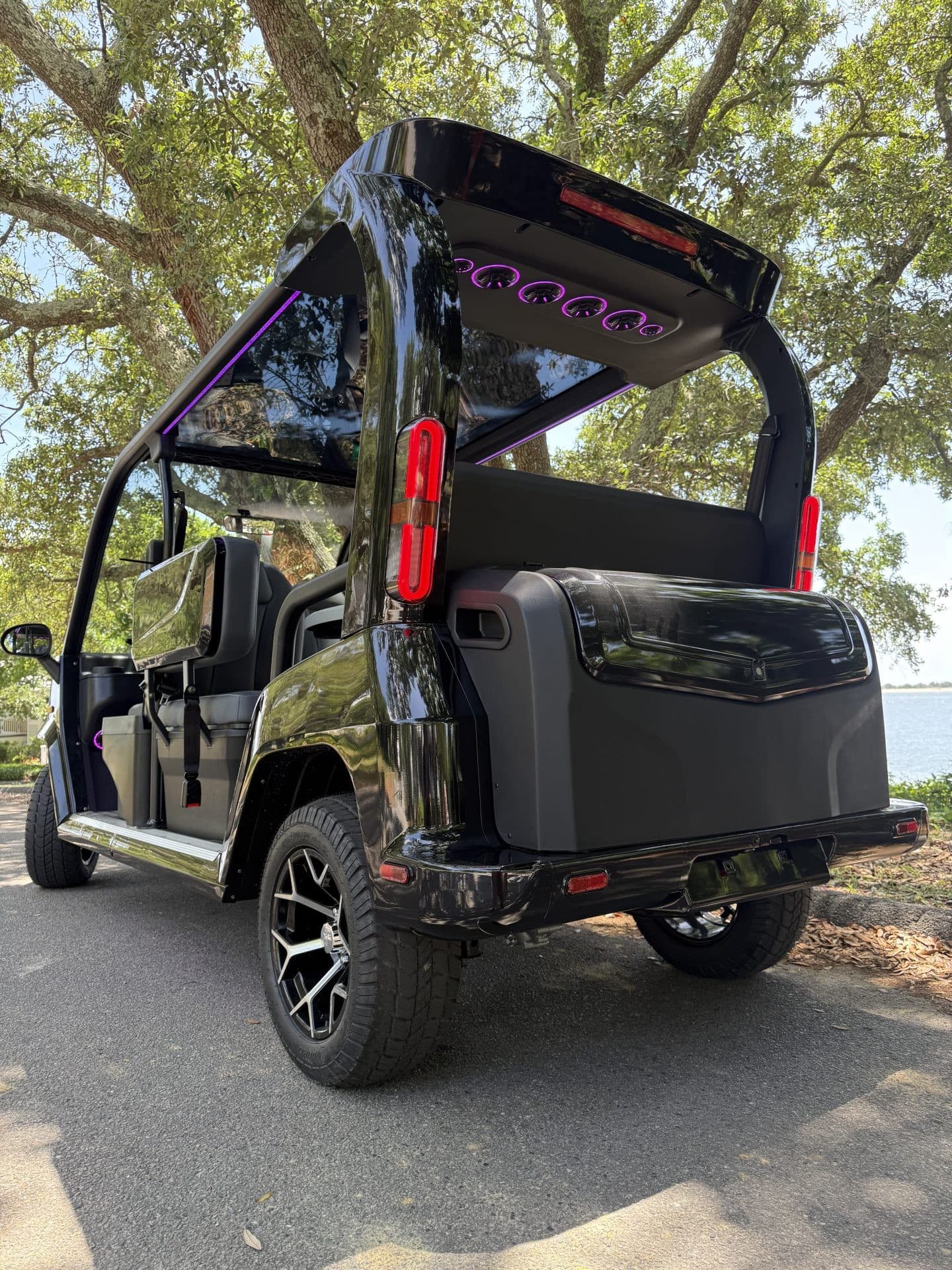 Denago EV Rover XXL golf cart, view 3 | Ergon Golf Carts