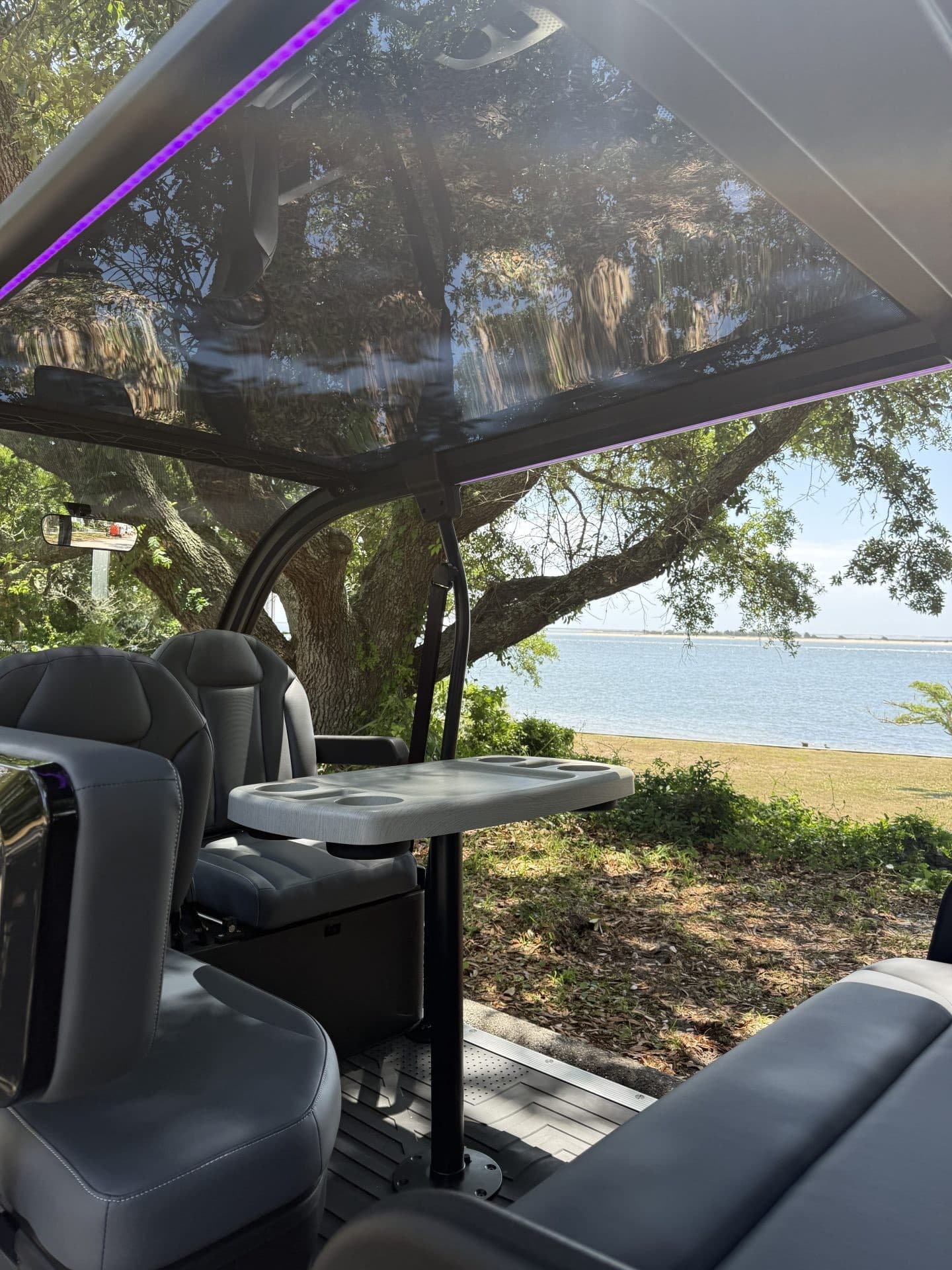Denago EV Rover XXL golf cart, view 5 | Ergon Golf Carts
