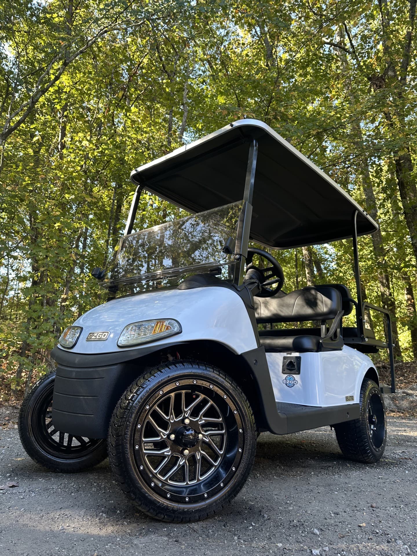 E-Z-GO Freedom RXV Elite golf cart | Ergon Golf Carts