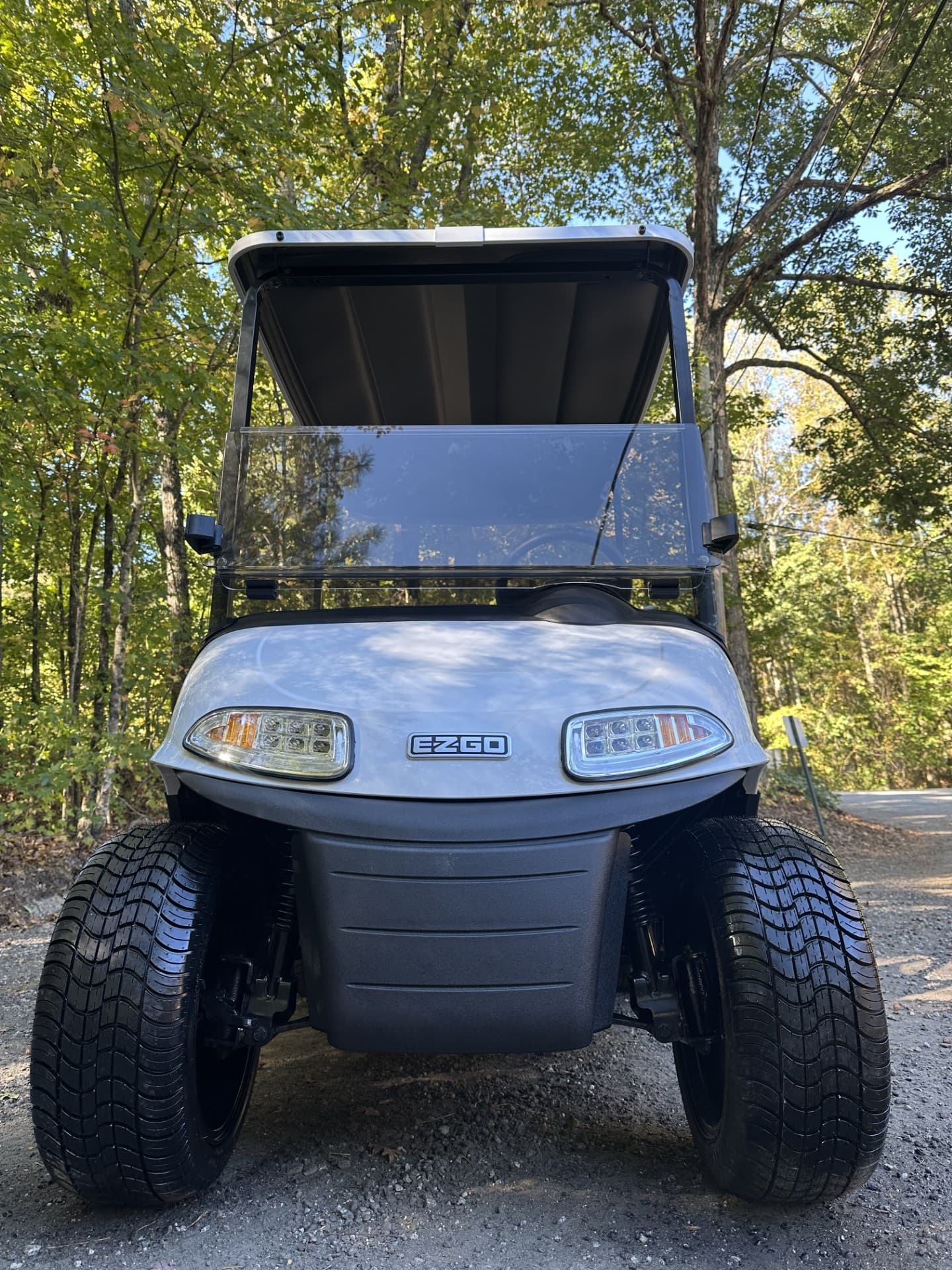 E-Z-GO Freedom RXV Elite golf cart, view 3 | Ergon Golf Carts
