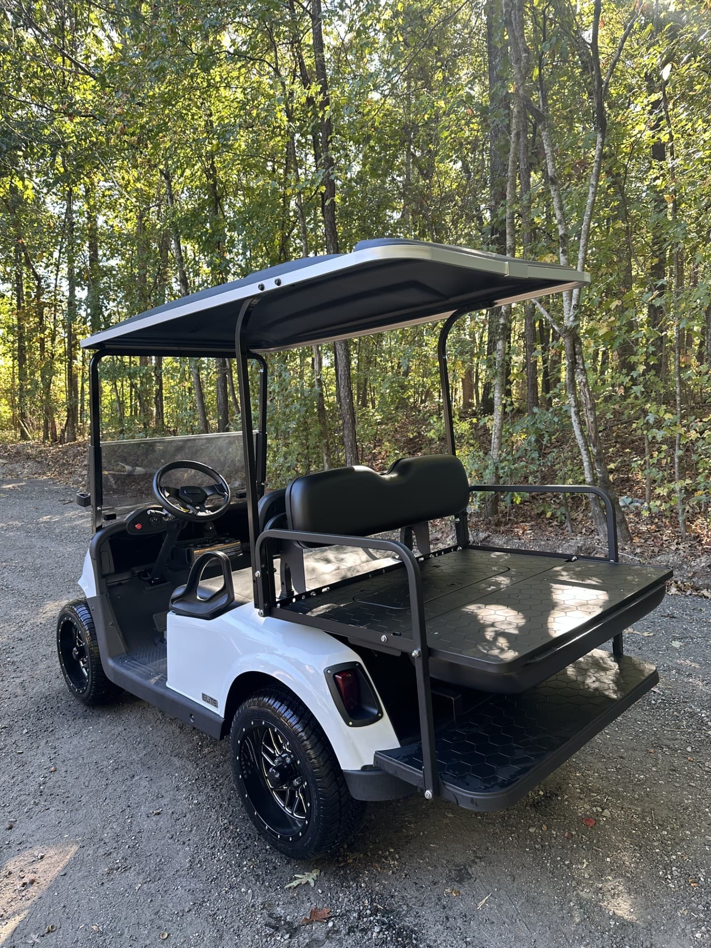 E-Z-GO Freedom RXV Elite golf cart, view 5 | Ergon Golf Carts