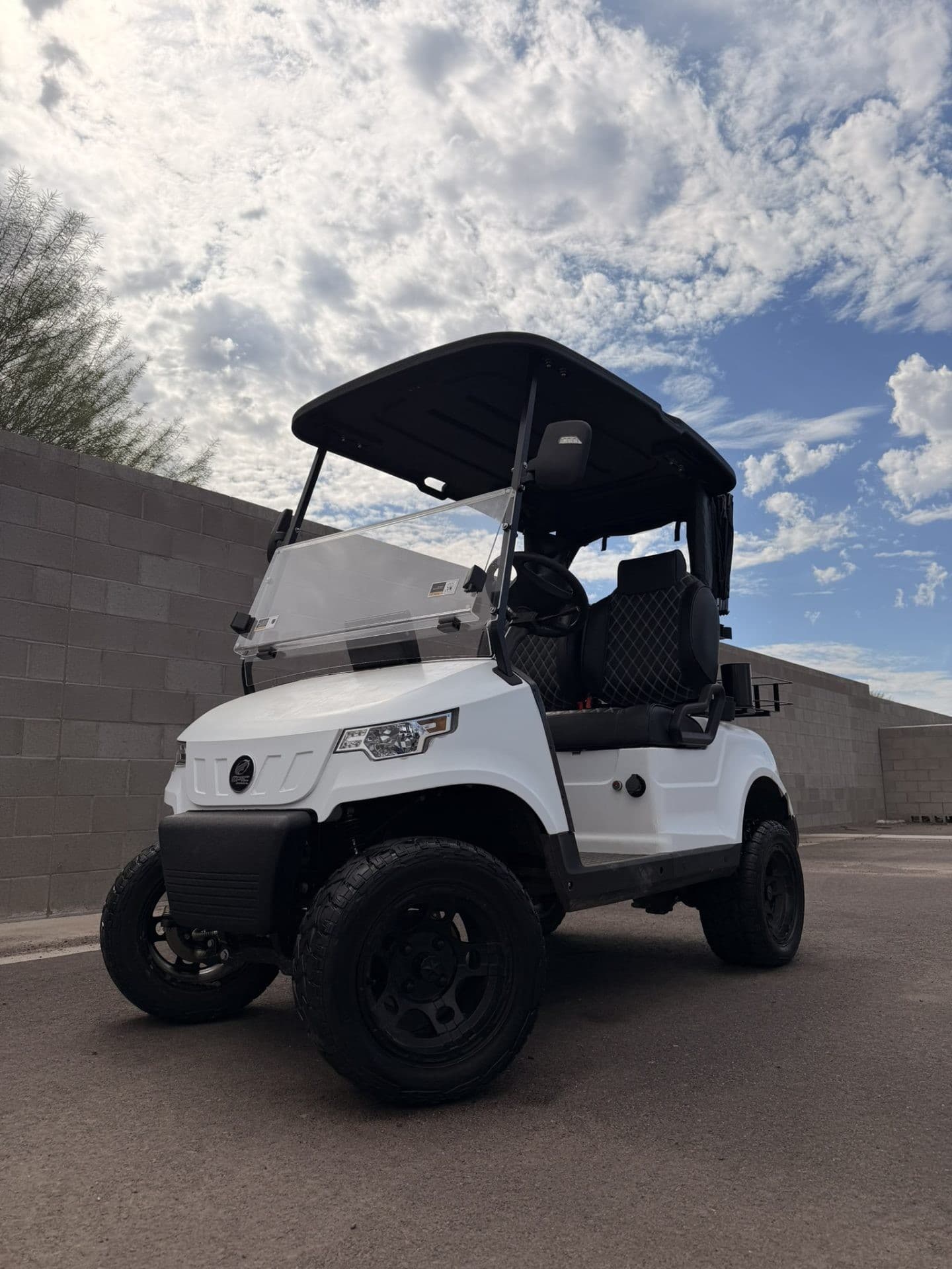 Epic E20 golf cart | Ergon Golf Carts