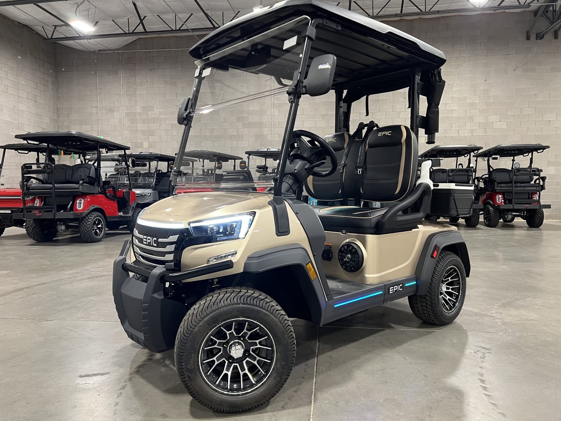 Epic E20FX golf cart | Ergon Golf Carts