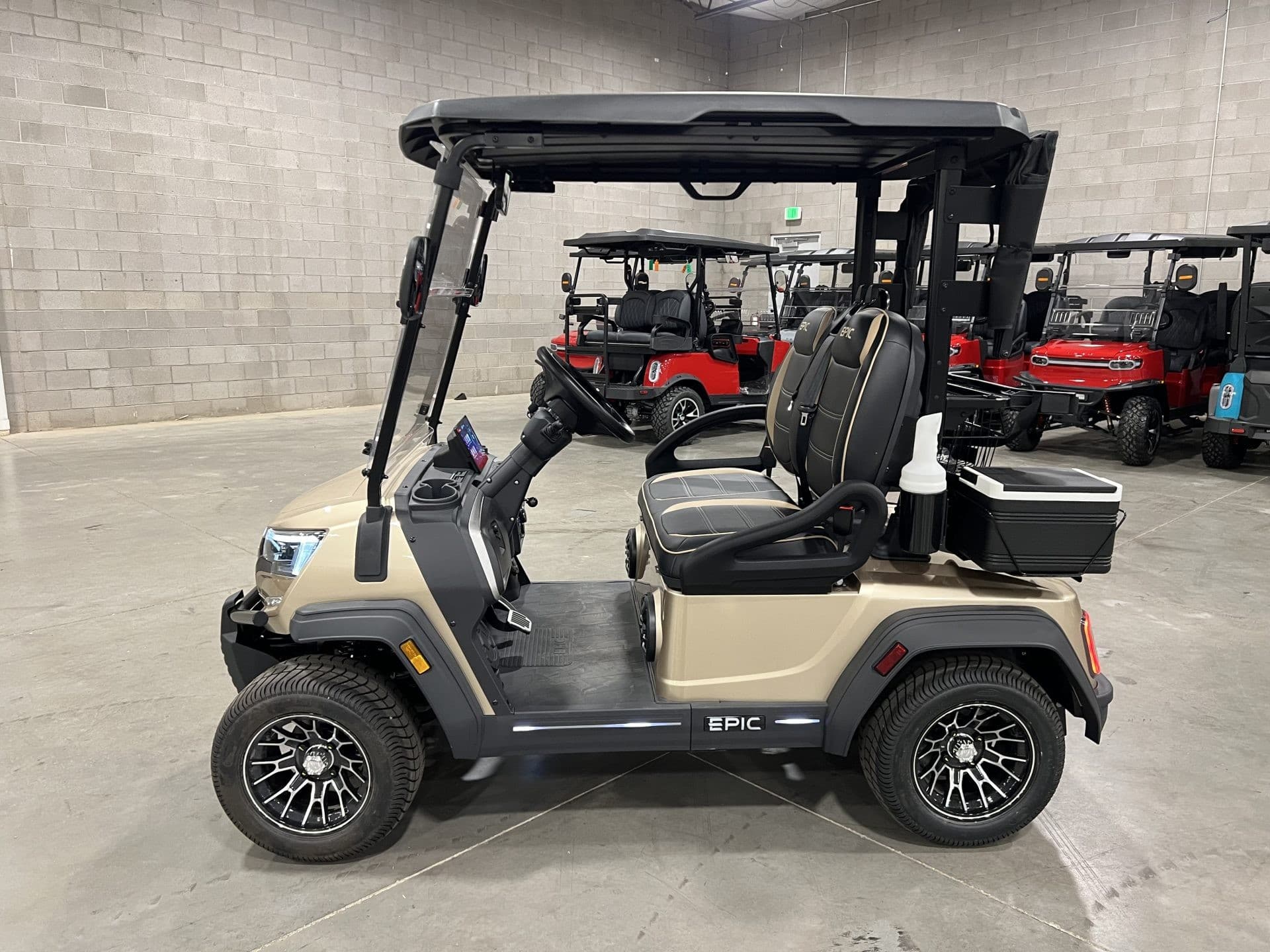 Epic E20FX golf cart, view 2 | Ergon Golf Carts