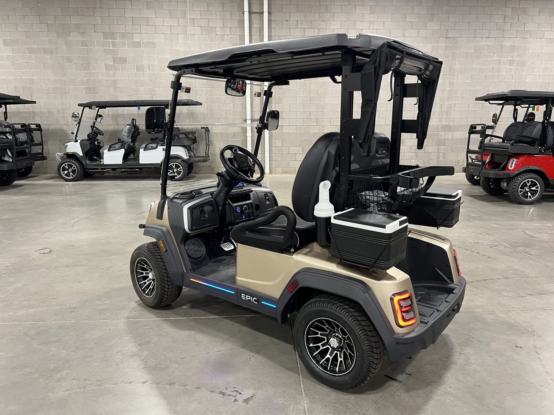 Epic E20FX golf cart, view 3 | Ergon Golf Carts