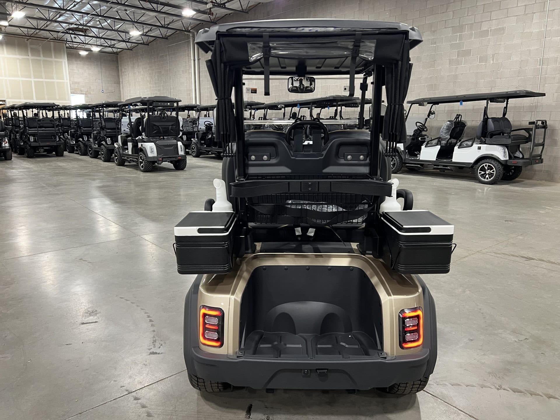 Epic E20FX golf cart, view 4 | Ergon Golf Carts