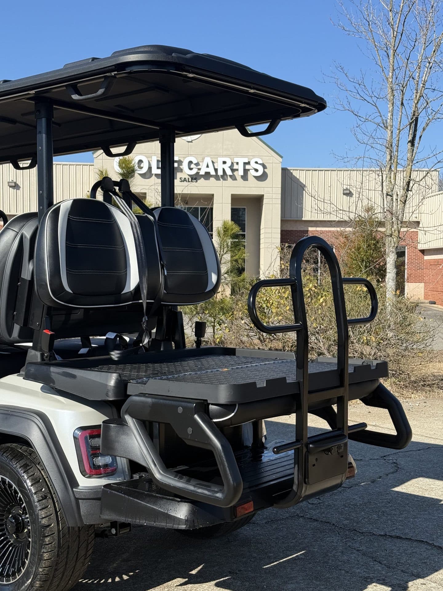 Epic E60FX golf cart, view 3 | Ergon Golf Carts
