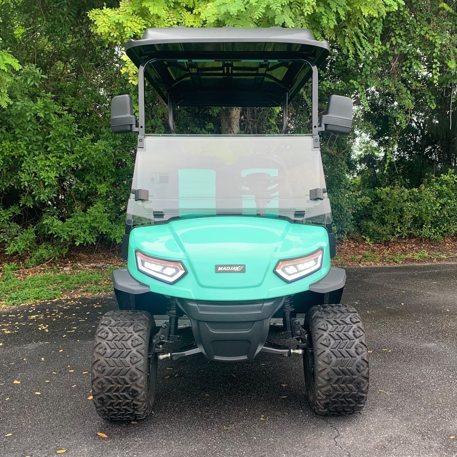 Madjax E-Series golf cart, view 2 | Ergon Golf Carts