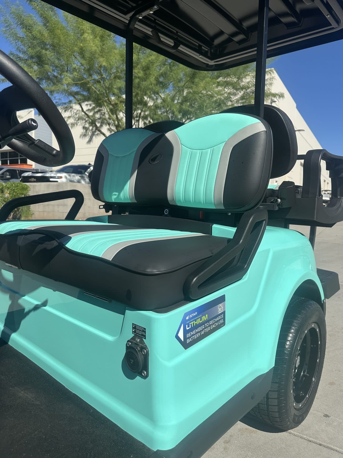 Star EV Capella golf cart, view 5 | Ergon Golf Carts