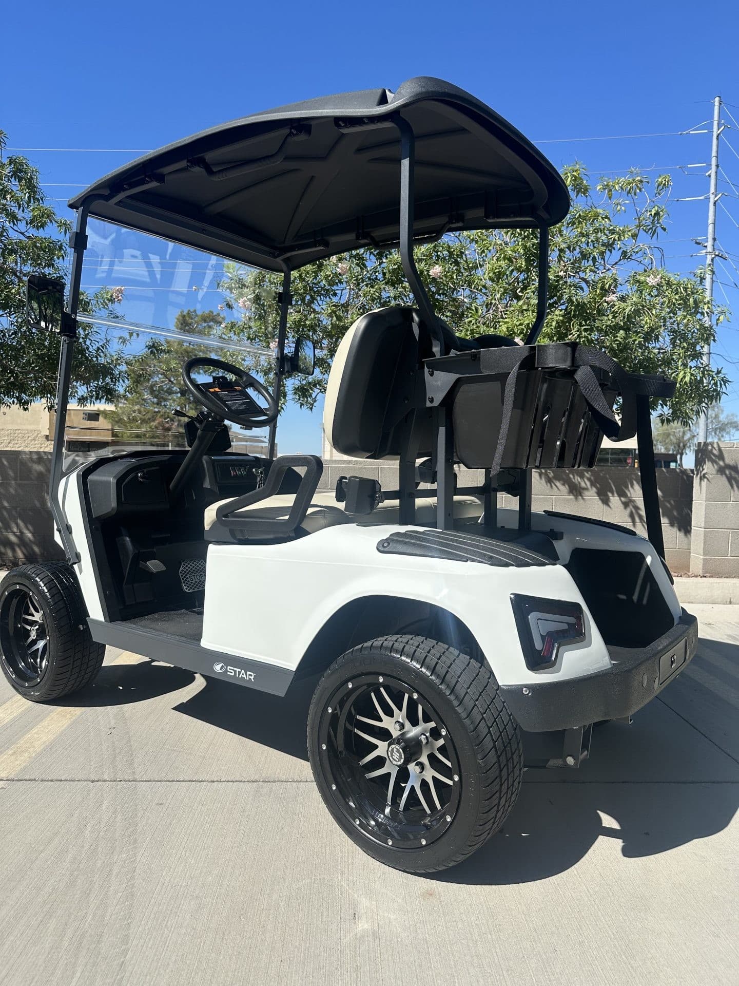 Star EV J Model golf cart, view 3 | Ergon Golf Carts