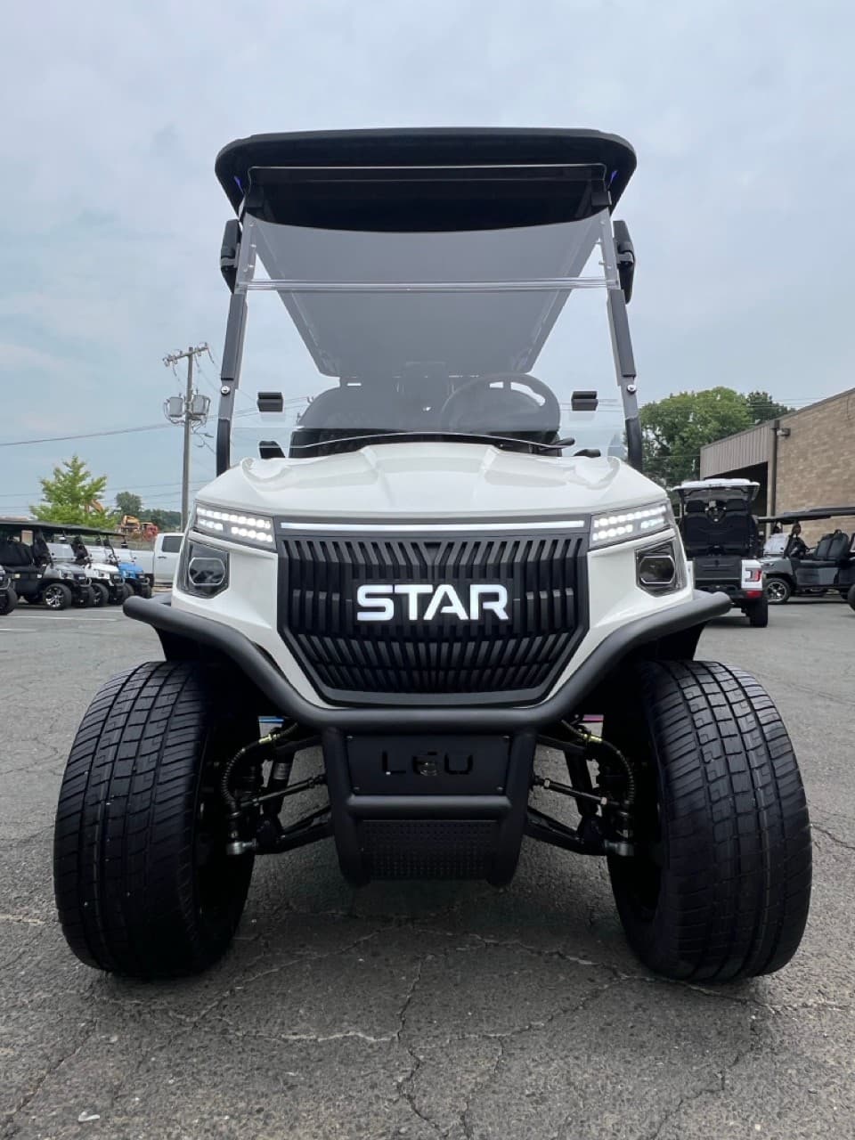 Star EV Sirius golf cart, view 2 | Ergon Golf Carts