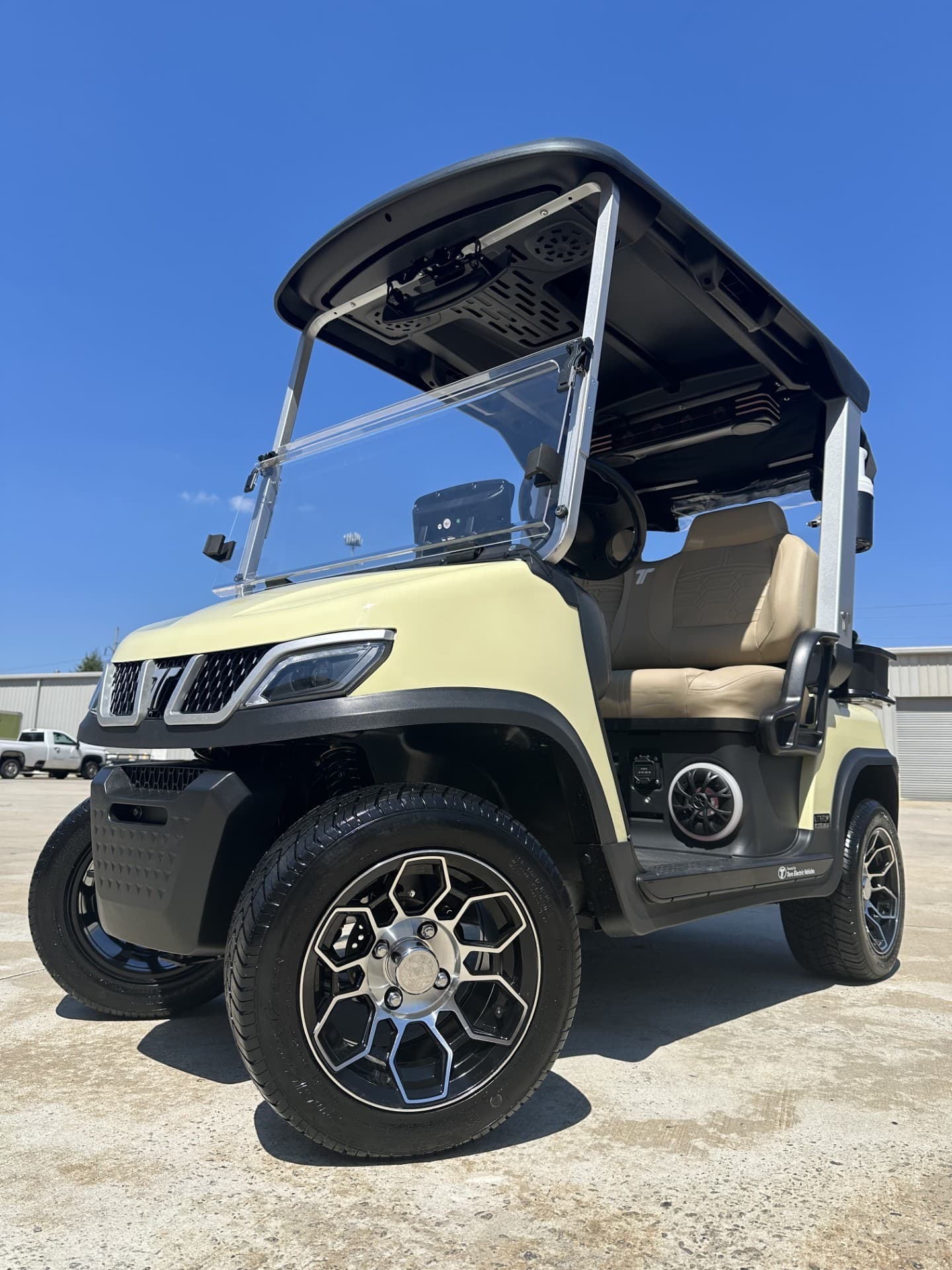 Tara Fleet golf cart | Ergon Golf Carts