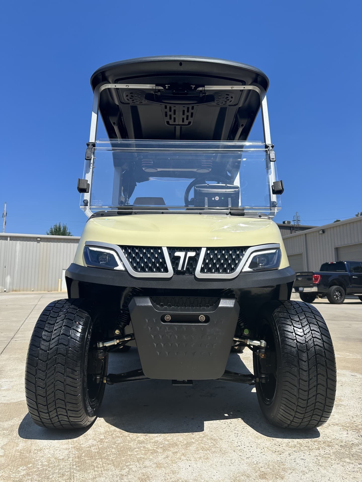 Tara Fleet golf cart, view 2 | Ergon Golf Carts