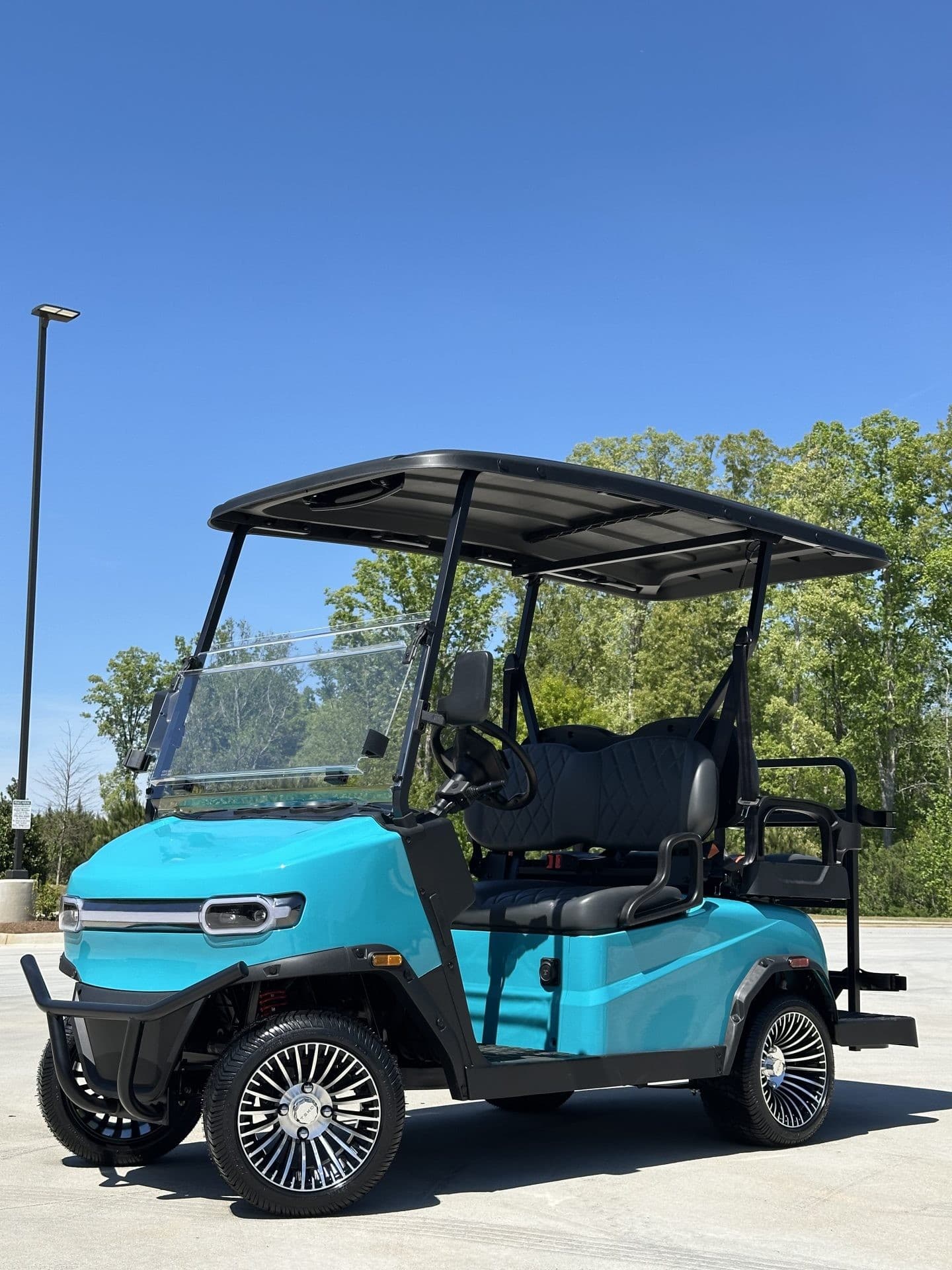 Teko EV Turbo Lite golf cart | Ergon Golf Carts