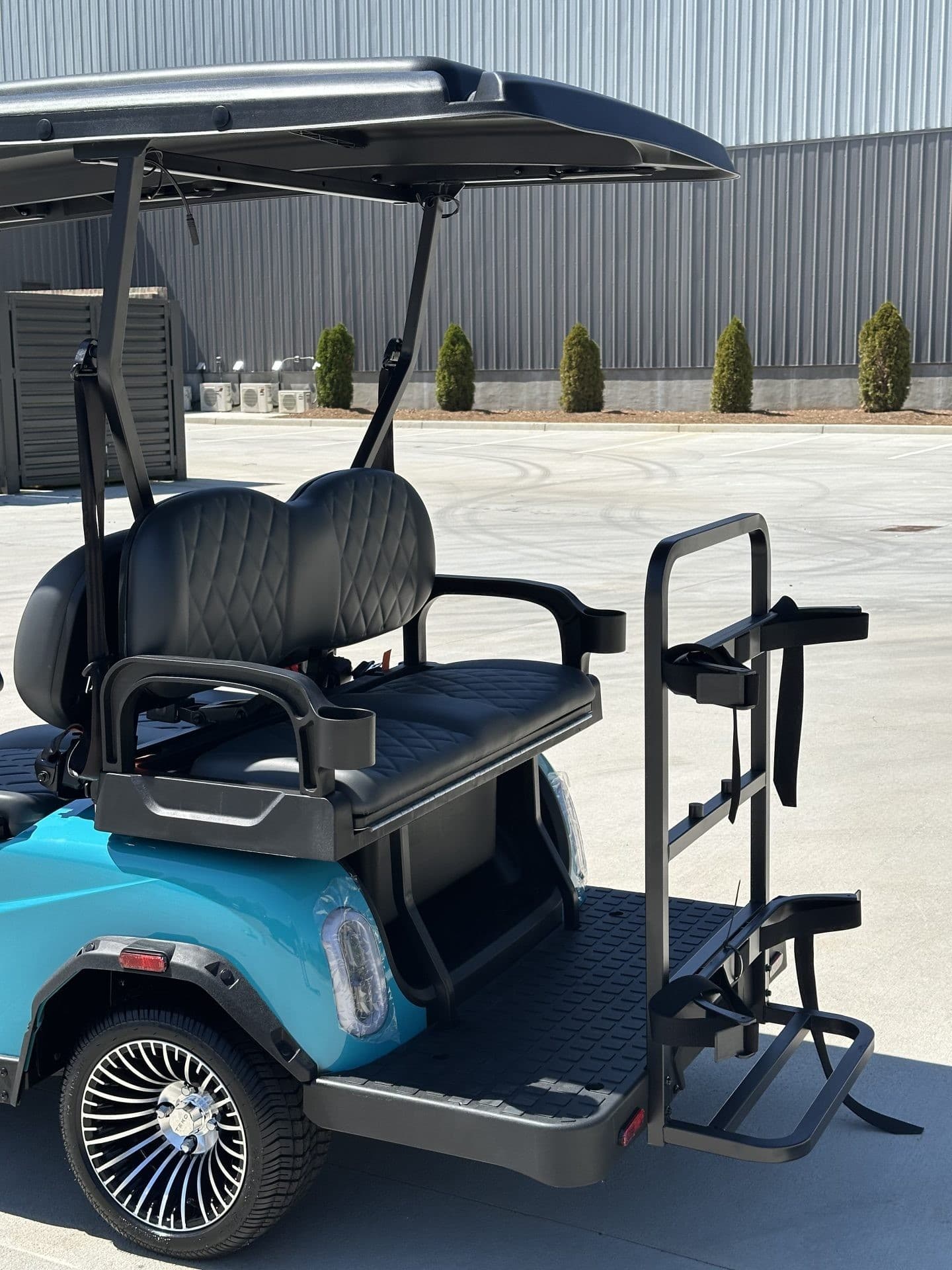 Teko EV Turbo Lite golf cart, view 4 | Ergon Golf Carts