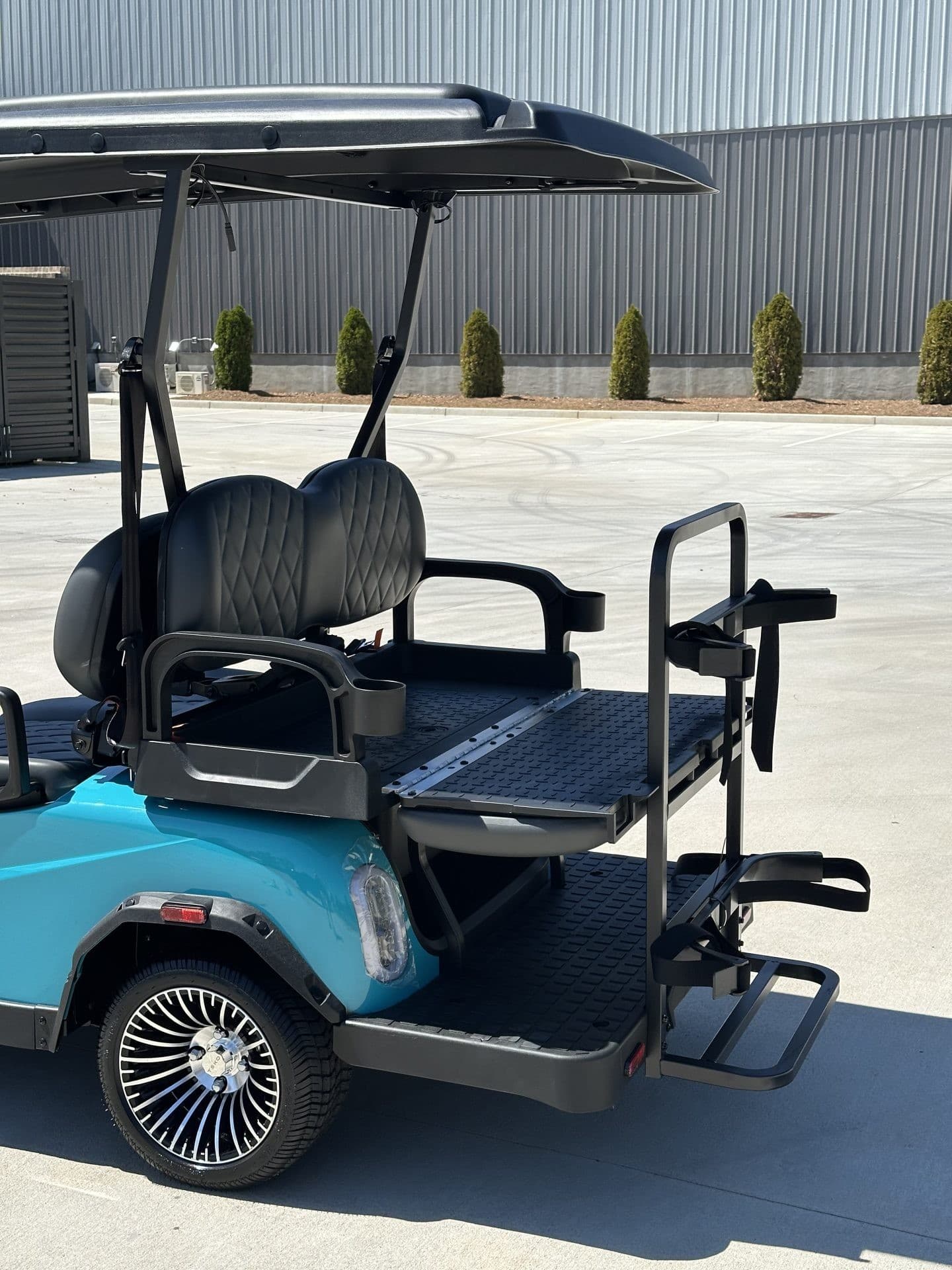 Teko EV Turbo Lite golf cart, view 5 | Ergon Golf Carts